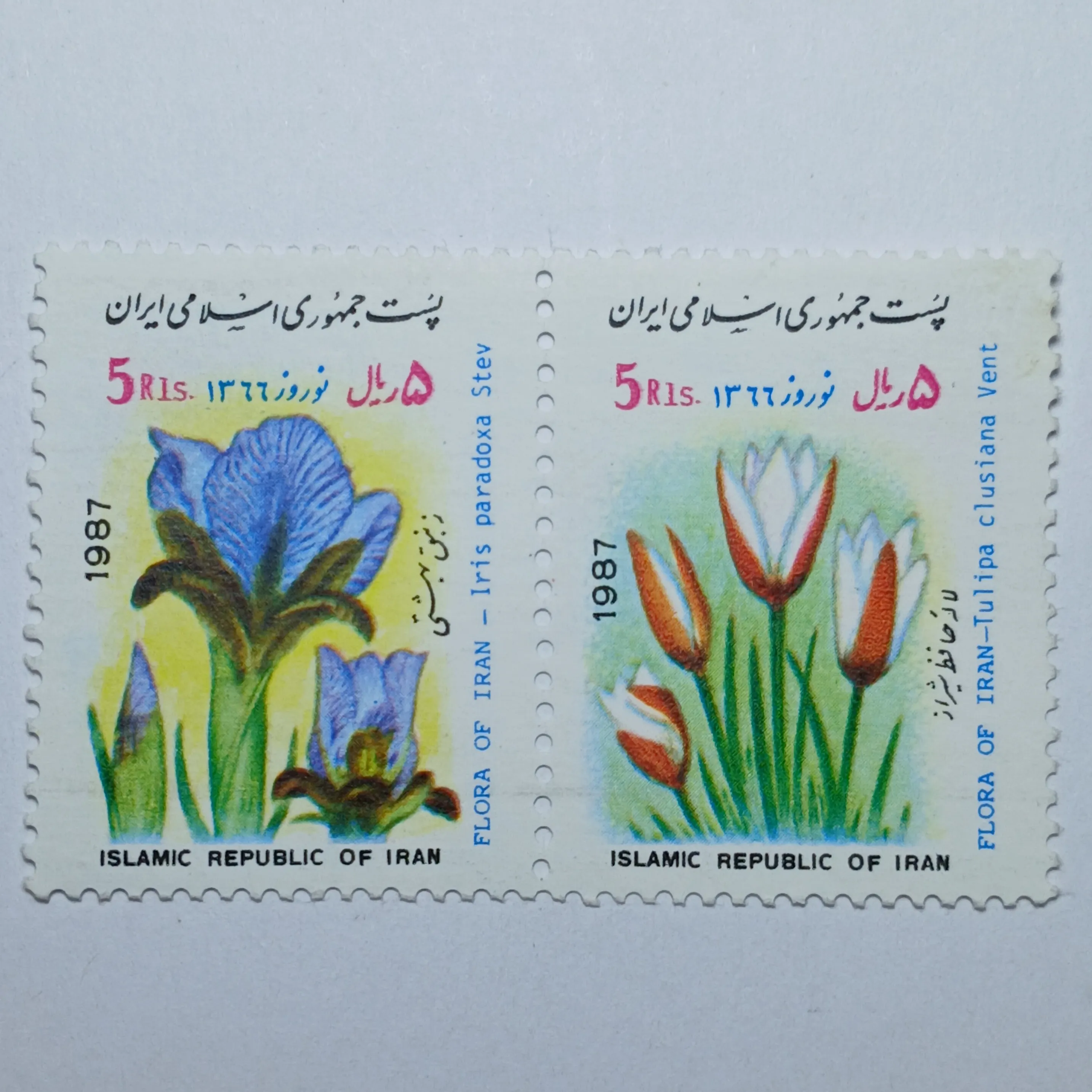 تمبر ایران 5 ریال جمهوری اسلامی ایران جفت یادبودی پوشش گیاهی طرح لاله شیراز و زنبق بهشتی